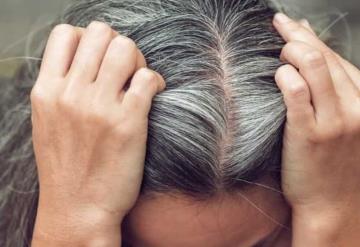 Consumir estos alimentos evita la aparición de canas