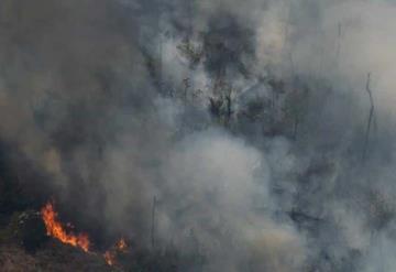 ¡Buenas noticias! Comienza Brasil a apagar el fuego en el Amazonas