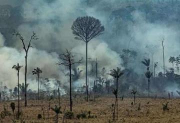 El Papa reza para que el incendio de la Amazonía sea controlado lo más rápido posible