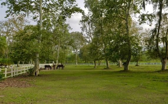 Secuestran a ganadero en Tabasco; se encontraba en su rancho