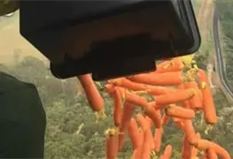 Lanzan verduras desde helic&oacute;pteros para alimentar a animales en Australia