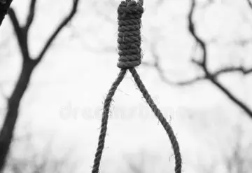 Encuentran cuerpo de un hombre colgado en un árbol en Emiliano Zapata