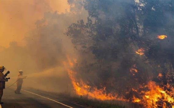 Invertirá Australia 52 mdd en turismo tras incendios