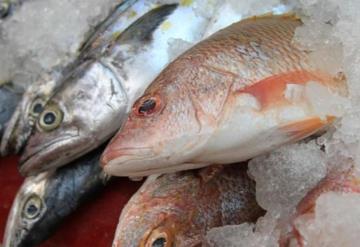 Baja venta de pescados y mariscos en Tabasco