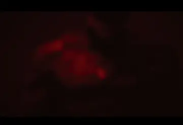 Primer vistazo de la nueva película The Batman