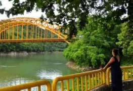 AMHM Tabasco, buscará nuevas alternativas ante eliminación de puentes