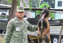 Dos binomios caninos forman parte del 37 Batallón de Tabasco