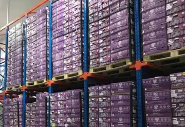 Mandan a China 20 toneladas de plátano producido en Teapa