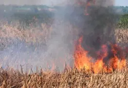 Aumentan incendios en Tabasco un 25 por ciento