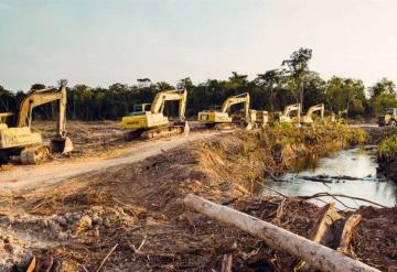 Podrían encarcelar a servidores públicos que autoricen construcciones que dañen el medio ambiente