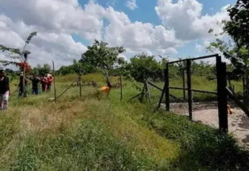 Descubren restos humanos en potrero