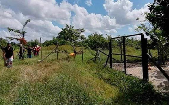 Descubren restos humanos en potrero