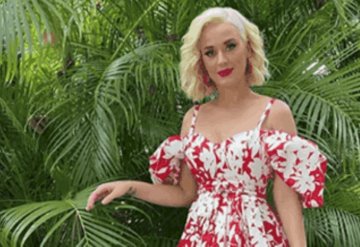 Katy Perry revela el sexo de su bebé con esta foto