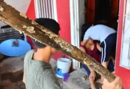 Se duplica violencia familiar durante contingencia; se reciben más de 100 llamadas de auxilio al día