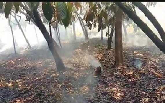 Presuntos delincuentes incendian haciendas cacaoteras de Jalpa de Méndez en venganza por denuncias