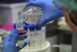 Premio Nobel de  medicina asegura que COVID-19 fue creado