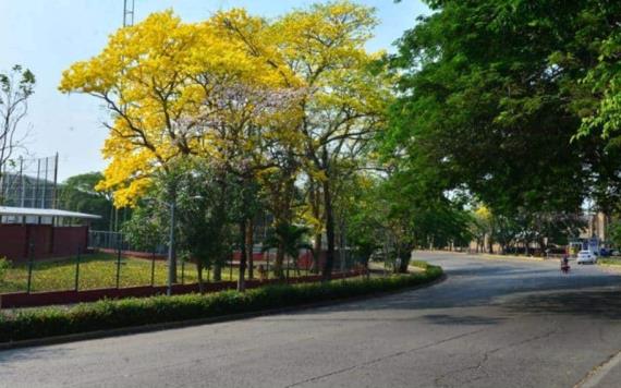 Lucen vacías paradas de transporte público y vialidades por nuevas disposiciones de Movilidad