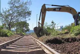 Jueza suspende obras del Tren Maya en Palenque; Fonatur desestima resolución