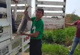 Llevan pescados y despensas a vendedores ambulantes de Paraíso