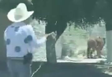 Charro laza a tigre en calles del municipio de Tlajomulco, Jalisco