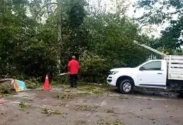 Azota tromba a Paraíso; derriba árboles y hace volar tejas