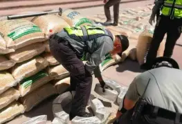 Encuentran 740kg de droga oculta en costales de maíz