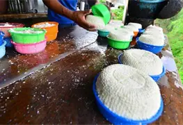 Queser&iacute;as sobreviven a pandemia en Tabasco