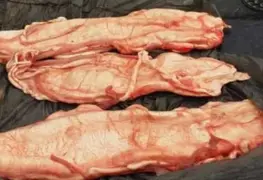 Decomisan pez totoaba valuado en más de 69 mdp