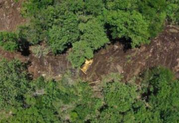 Alertan deforestación por construcción en Playa del Carmen