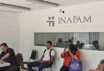 De esta manera puedes tramitar la credencial del INAPAM