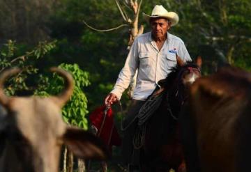 Campesinos cambian su forma de trabajar por covid-19