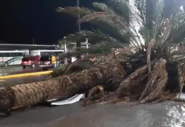 Tromba deja un muerto, un desaparecido y 300 casas afectadas en Coahuila