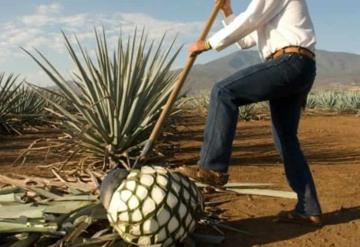 ¡Es hoy, es hoy! 24 de julio Día Internacional del Tequila