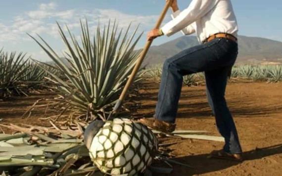 ¡Es hoy, es hoy! 24 de julio Día Internacional del Tequila