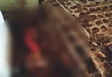 Hallan a hombre calcinado en su vivienda; su colchón se incendió mientras dormía