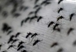 A la alza casos de dengue en Tabasco; estos municipios son considerados zona de epidemia