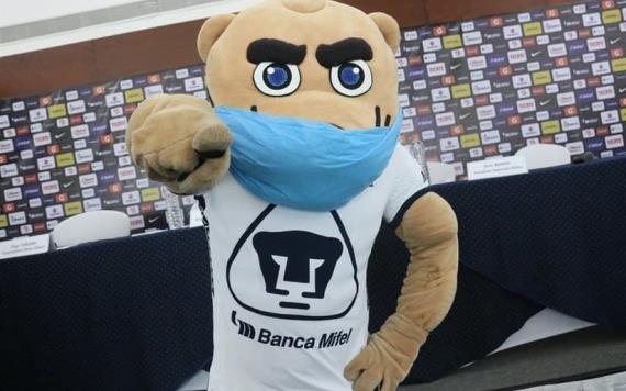 Pumas Tabasco continúa sumando cuerpo técnico