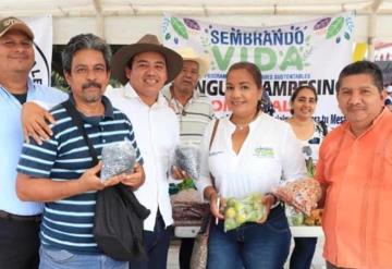 Construyen instalaciones para emprendedores del Tianguis campesino en Comalcalco