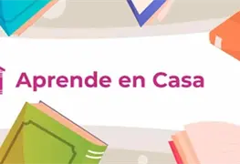Aprende en Casa 2: &iquest;Te perdiste una clases de la SEP en la TV? Aqu&iacute; puedes verlas