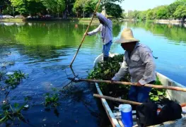 Aparecen cientos de peces muertos en Vaso Cencali