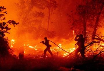 Incendios arrasan la costa este de Estados Unidos