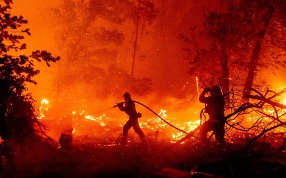 Incendios arrasan la costa este de Estados Unidos