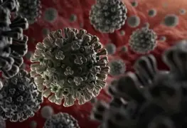 Conoce el informe diario del Coronavirus en México