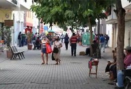 Realizar&aacute;n proyecto para promover consumo local