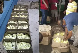 Sigue el ayuntamiento con el apoyo a la econom&iacute;a familiar en Para&iacute;so