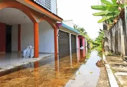 Conoce la actualización sobre el Viejo Mezcalapa (Río Viejo): IPCET