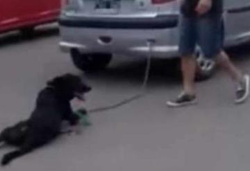 Evidencian a mujer arrastrando a su perro encadenado al auto