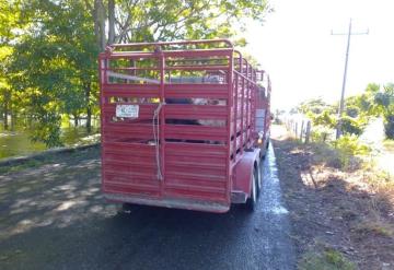 Debido a inundaci&oacute;n, ganaderos huyen con sus hatos