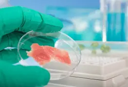 Este es el primer país del mundo en aprobar la venta de carne cultivada