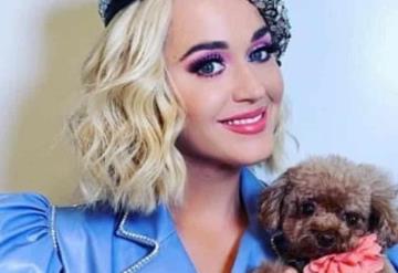 Katy Perry ha decidido hacerse vegana y también a su perrito